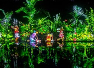 INAH Yucatán y Cultur en La Noche Blanca