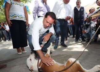 Presentan Peek-Friendly en Kanasín, que realizará 100 esterilizaciones diarias.