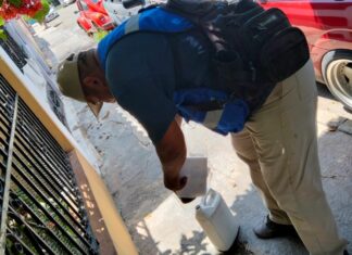 Prevención sostenida del dengue
