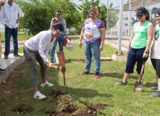 Ciudadanos y organizaciones civiles abrazan Arborizando Yucatán