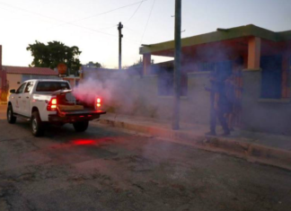 Fumigación en marcha contra el mosquito del dengue