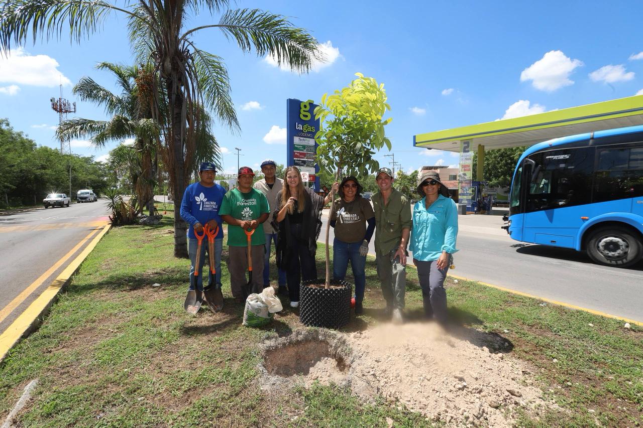 Plan Infraestructura verde