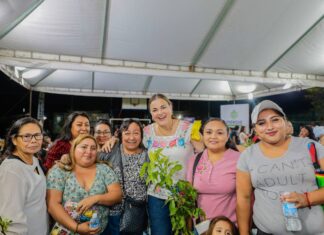 Plan Infraestructura verde