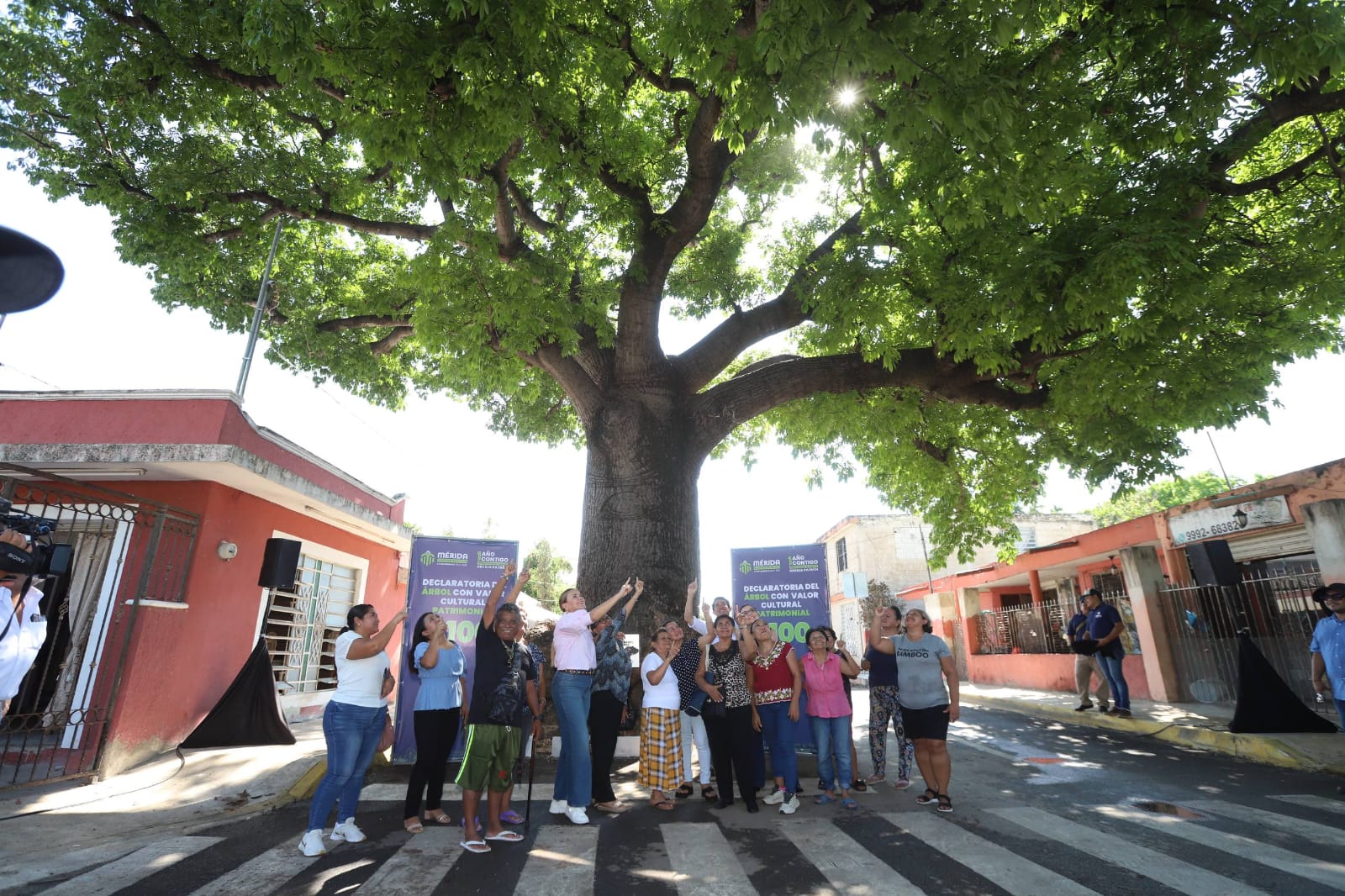 Plan Infraestructura verde