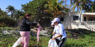 Limpieza San Crisanto