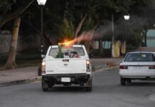 Lluvia récord en Mérida amenaza con brotes masivos de mosquitos