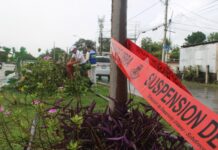Comuna denuncia tala de árboles en Circuito Colonias Oriente