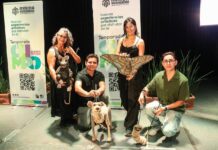Temporada Olimpo 2026 ofrecerá 39 proyectos culturales