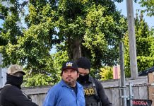 migrante