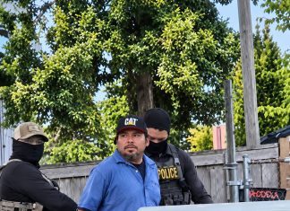 migrante