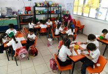 Solo 26 de cada 100 estudiantes llegan a terminar una licenciatura