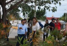 Jardín de lluvia previene encharcamientos en Ciudad Caucel