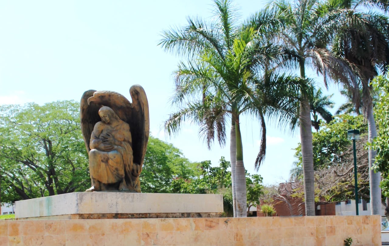 IMSS (2)