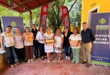 Mujeres de Molas, Yaxnic y Dzoyaxché reciben colmenas para preservar abejas nativas en Mérida.
