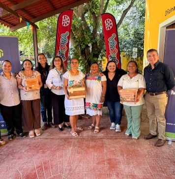 Mujeres de Molas, Yaxnic y Dzoyaxché reciben colmenas para preservar abejas nativas en Mérida.