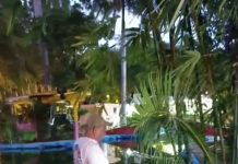 Detectan Naegleria en dos cuerpos de agua de parques de Mérida Protocolos preventivos por detección de Naegleria en cuerpos de agua de parques de Mérida.