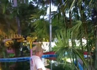 Protocolos preventivos por detección de Naegleria en cuerpos de agua de parques de Mérida.