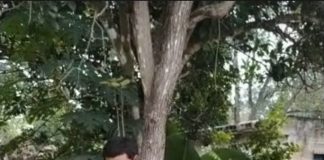 Habitantes de Peto retienen a presunto responsable de robos en Yucatán.