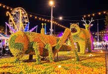 Oxkutzcab prepara la Feria de la Naranja 2026 por su 40 aniversario Oxkutzcab prepara la Feria de la Naranja 2026 por su 40 aniversario, del 11 al 20 de diciembre, con la temática Encuentro de Dos Culturas.