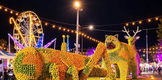 Oxkutzcab prepara la Feria de la Naranja 2026 por su 40 aniversario, del 11 al 20 de diciembre, con la temática Encuentro de Dos Culturas.