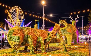 Oxkutzcab prepara la Feria de la Naranja 2026 por su 40 aniversario, del 11 al 20 de diciembre, con la temática Encuentro de Dos Culturas.