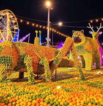 Oxkutzcab prepara la Feria de la Naranja 2026 por su 40 aniversario, del 11 al 20 de diciembre, con la temática Encuentro de Dos Culturas.